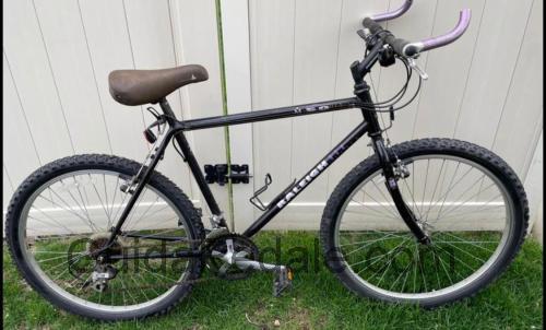 Raleigh M50 scheda tecnica e recensioni